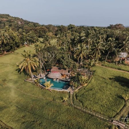 Nelu Resort Sigiriya Ngoại thất bức ảnh