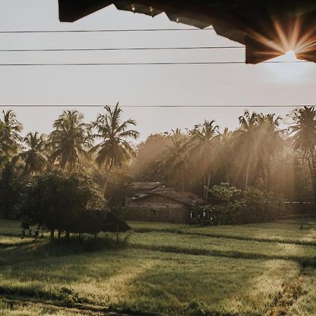 Nelu Resort Sigiriya Ngoại thất bức ảnh