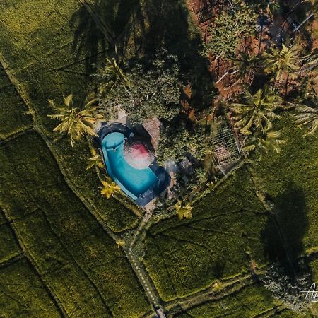 Nelu Resort Sigiriya Ngoại thất bức ảnh