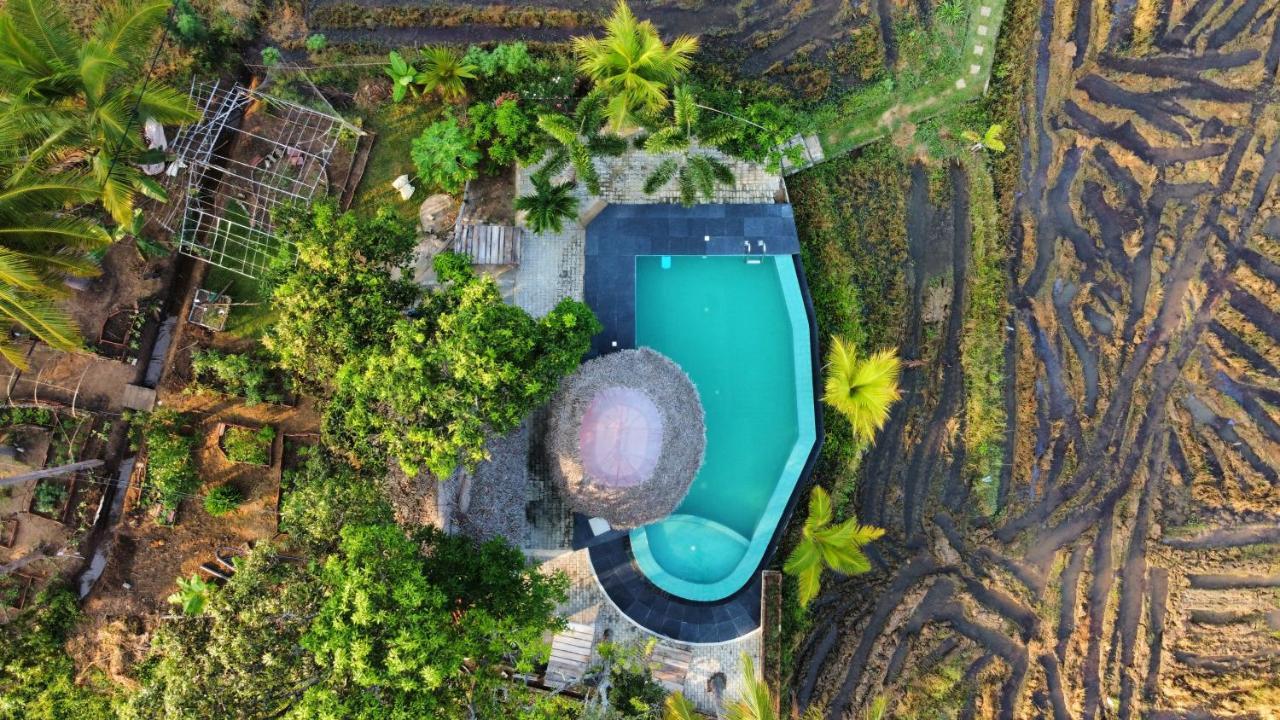 Nelu Resort Sigiriya Ngoại thất bức ảnh