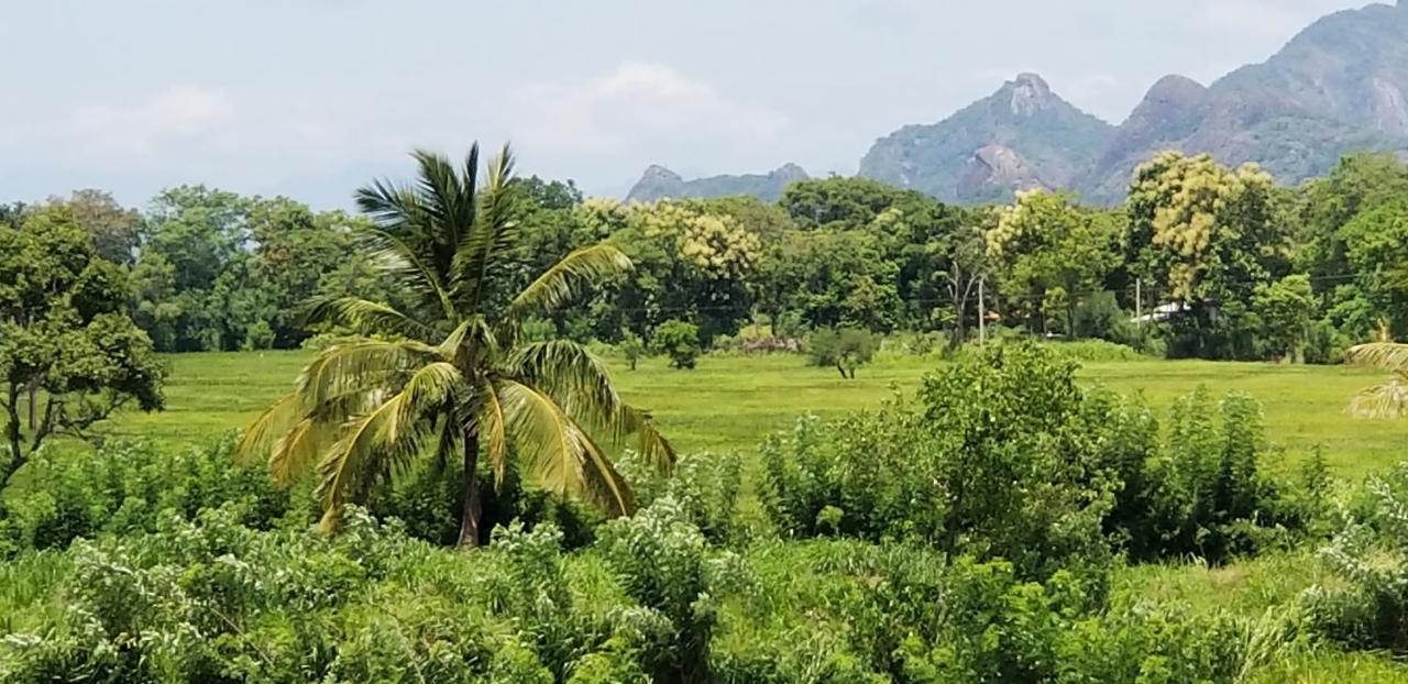 Nelu Resort Sigiriya Ngoại thất bức ảnh