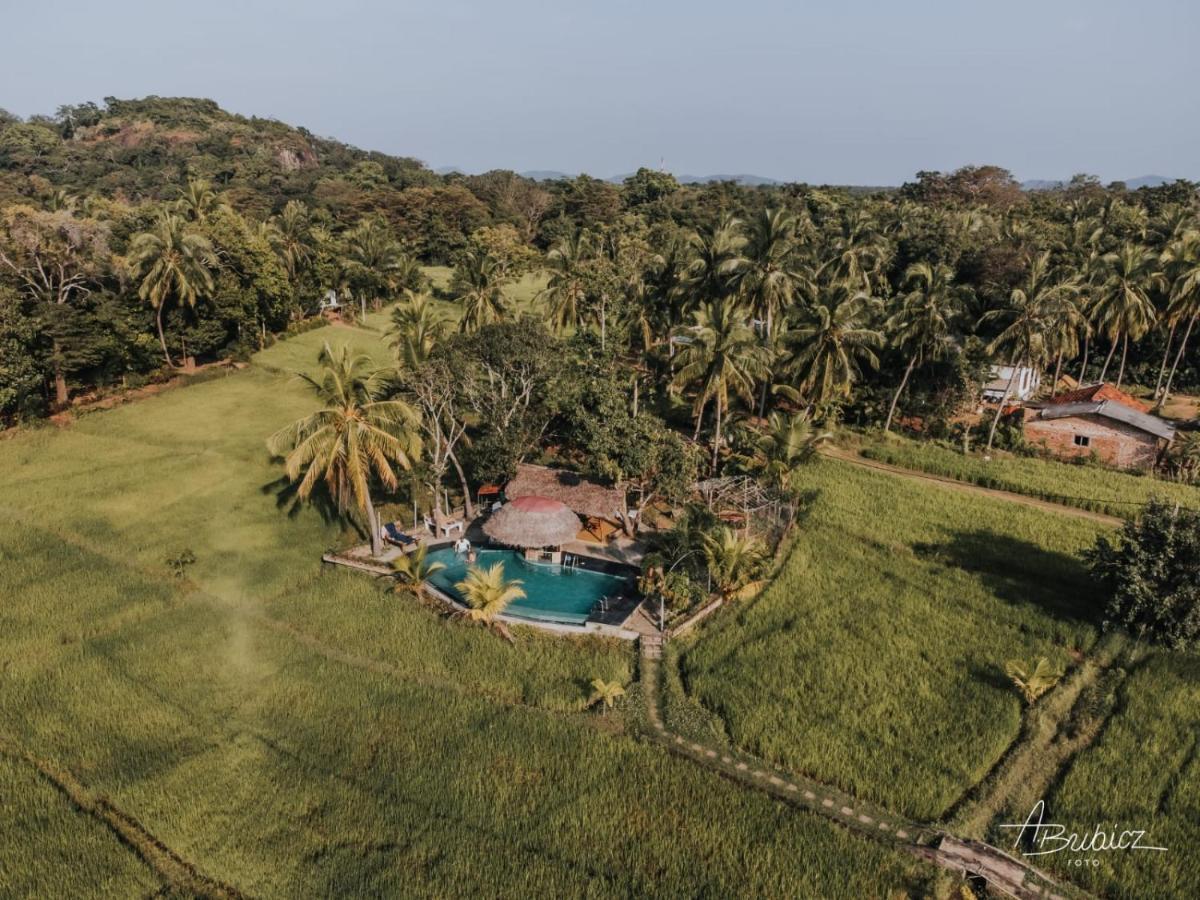 Nelu Resort Sigiriya Ngoại thất bức ảnh