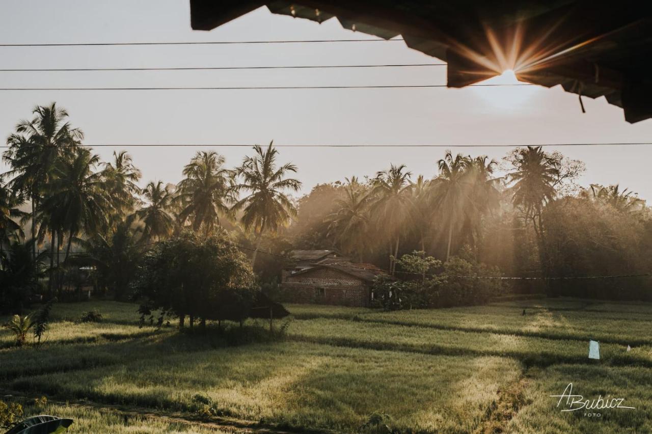Nelu Resort Sigiriya Ngoại thất bức ảnh